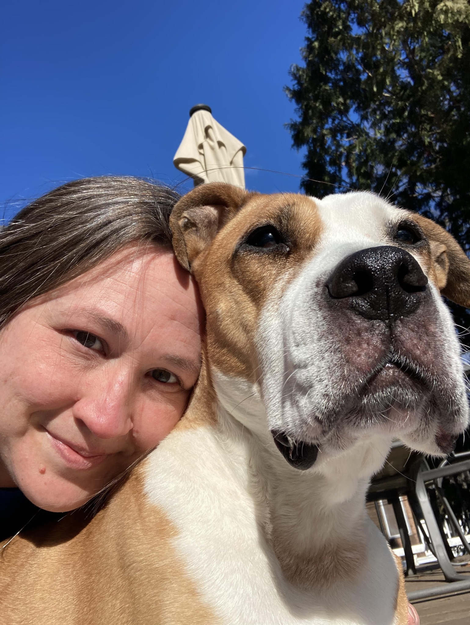 An extremely common thing I hear from grieving dog owners is how alone ...