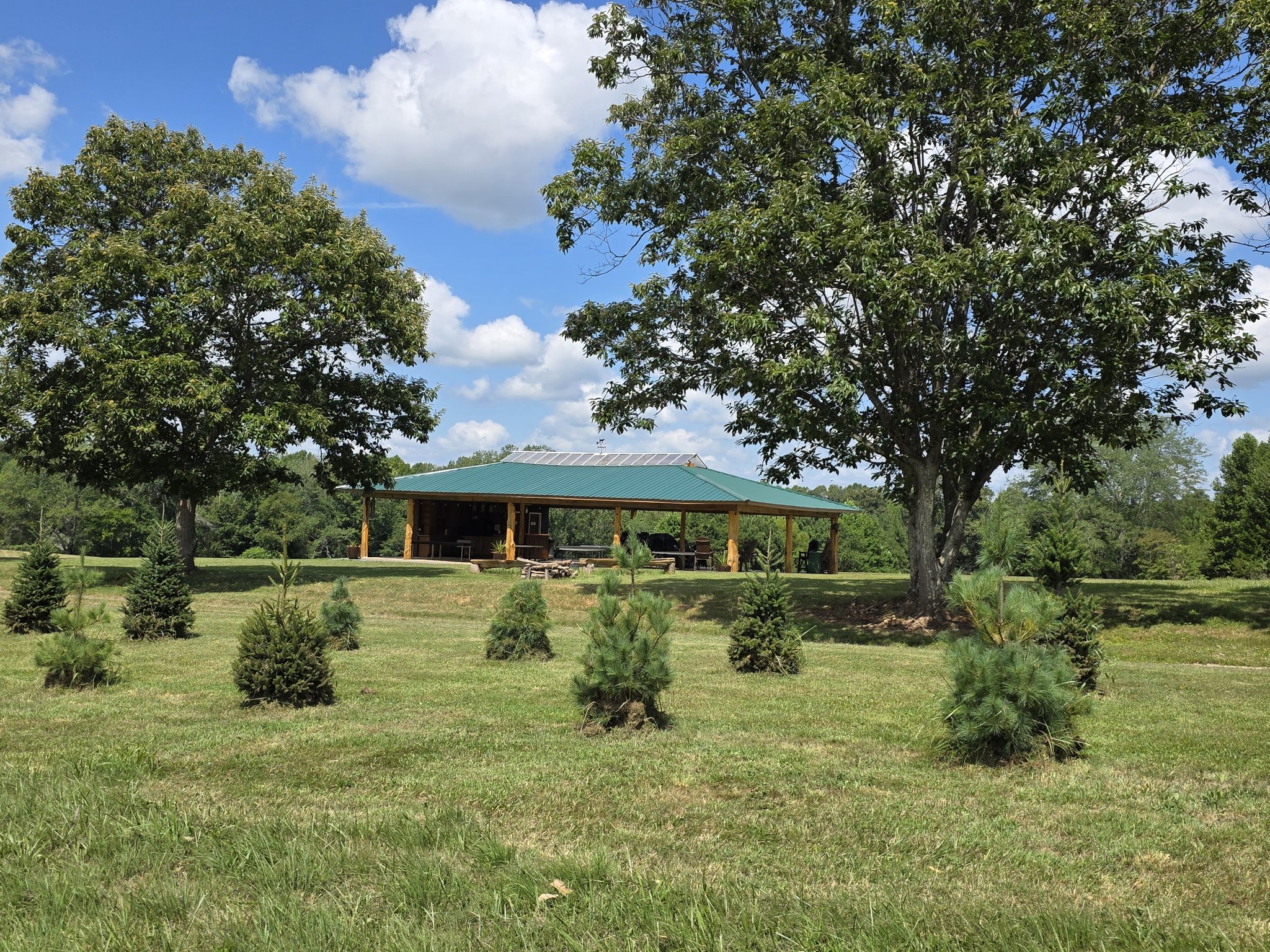 Bittersweet Christmas Tree Farm and Pavilion