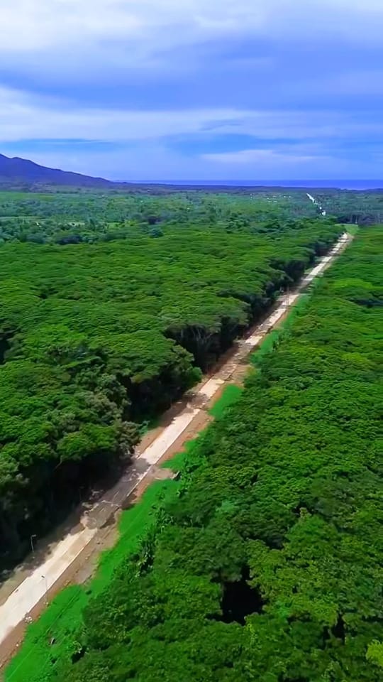 Palawenyong Small blogger | CRLA MISCUE MARKING GUIDE | Facebook