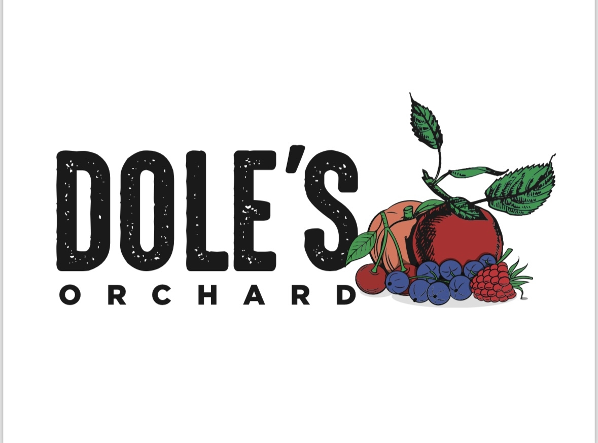 Zoom out and look at that. 🍎 Every single row is ripe right now ...