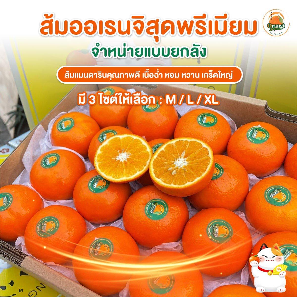 ส้มออเรนจิ , ส้มน้องแมวออเรนจิ