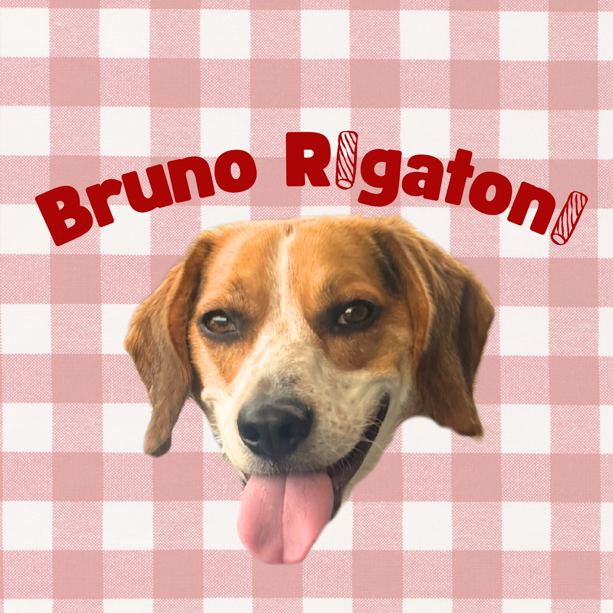 Bruno loved these Yummy Combs dental flossers, thanks for sending them ...