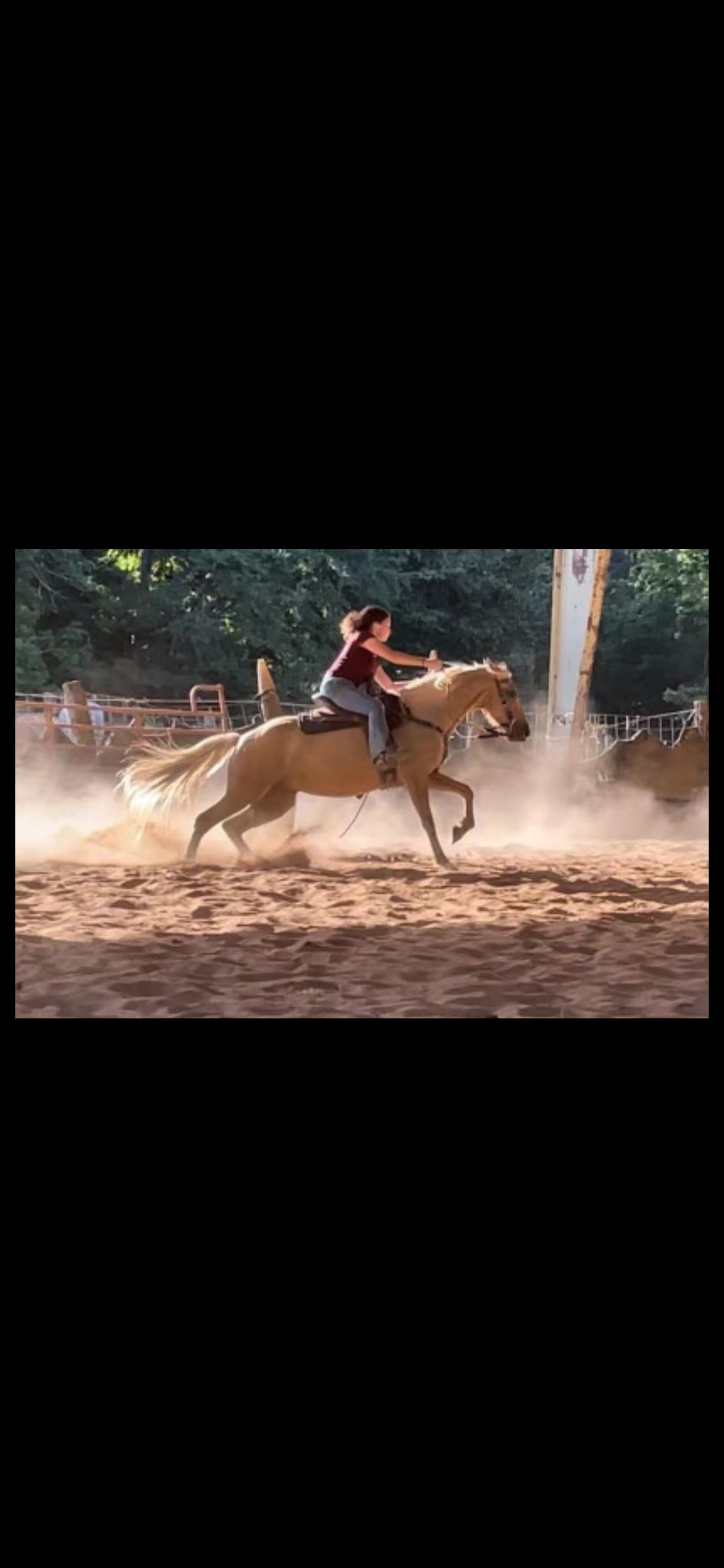 The Allen Ranch | Cookeville TN