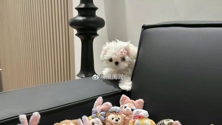 黑闰润