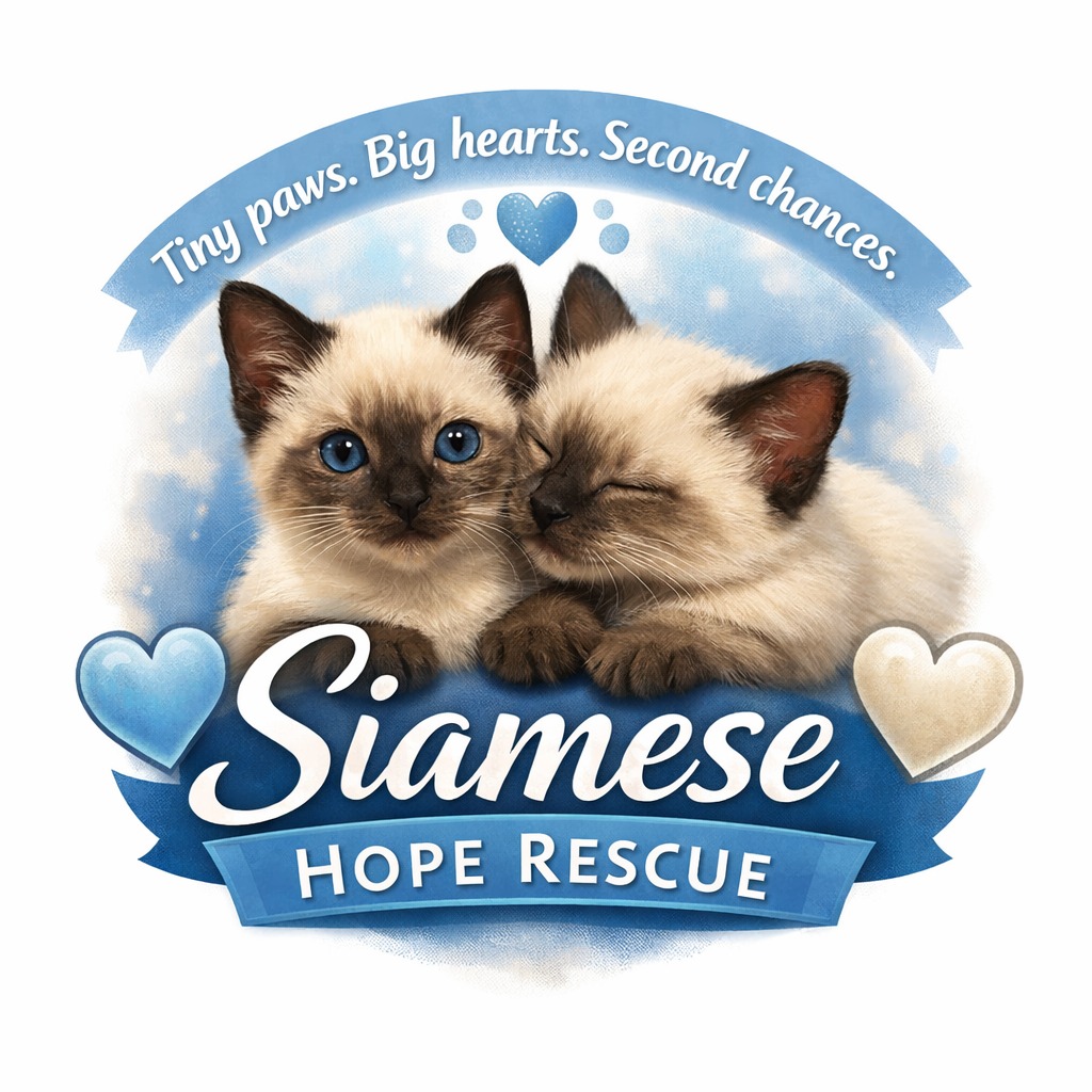 Siamese Hope Rescue