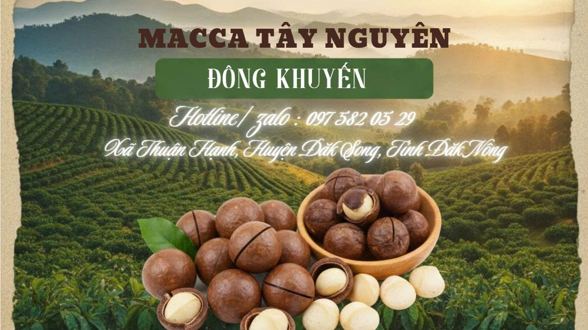 Macca Tây Nguyên - Đông Khuyến