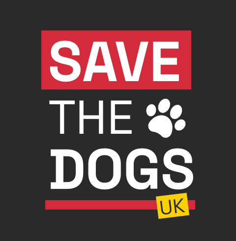 𝗠𝗮𝗻𝘆 𝗼𝗳 𝘆𝗼𝘂 𝘄𝗶𝗹𝗹 𝗸𝗻𝗼𝘄 𝗢𝗹𝗹𝘆 𝗮𝘀 𝘁𝗵𝗲... - Save The Dogs UK | Facebook