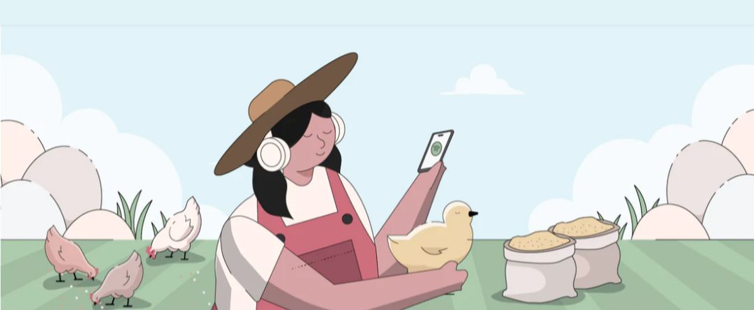 Ladies On The Homestead | I'm looking to move and start a bigger ...