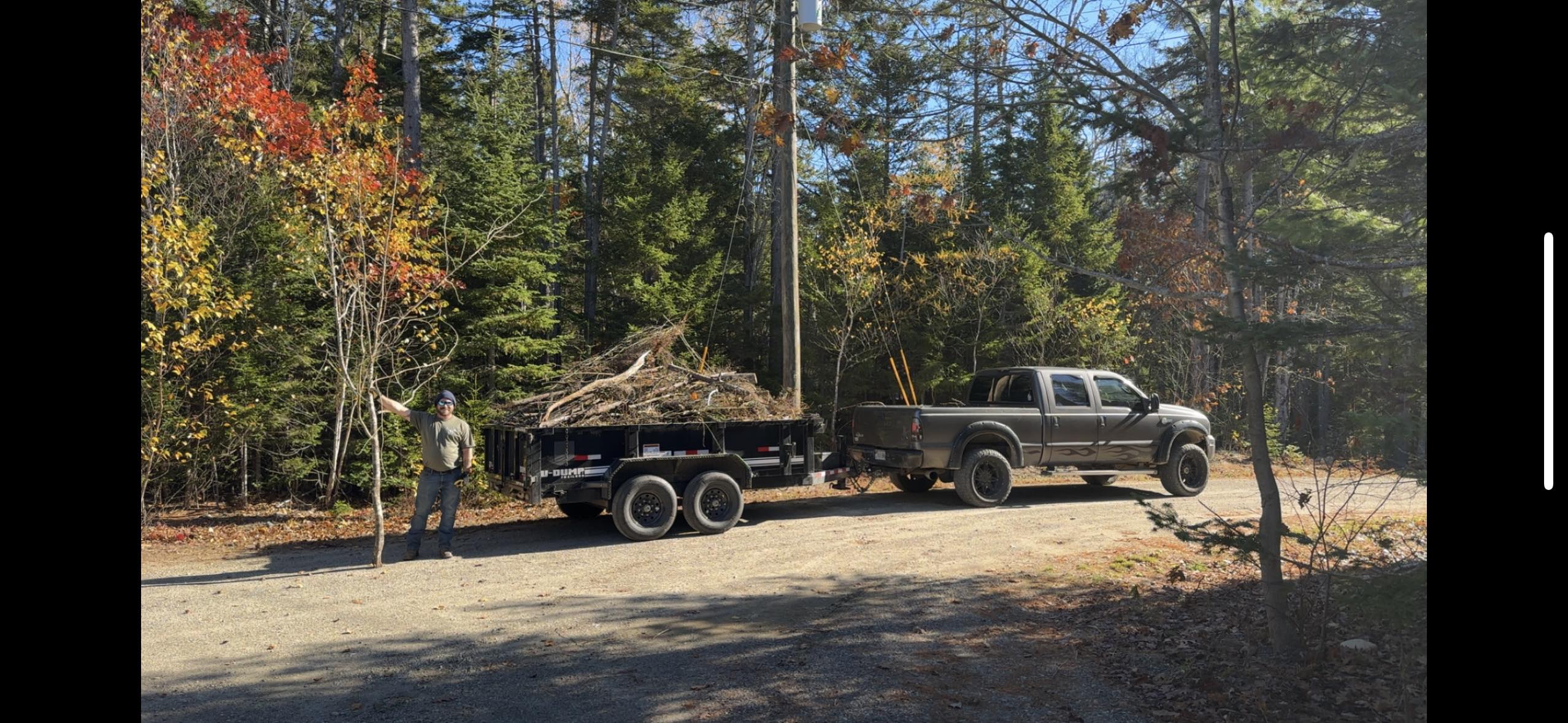 Maine Coast Removal