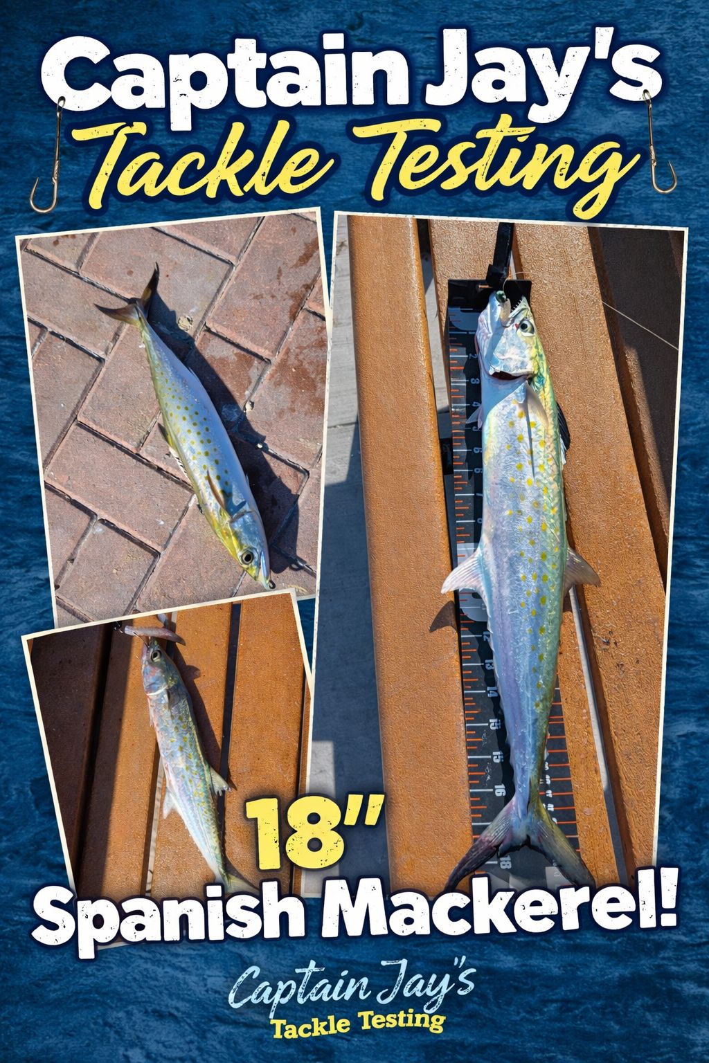 best fishing lures 2019 fall TRUSCEND Tilapia Segmented Lure Jointed Swimbait Size and lifelike swimming action Size:BV2-600 26,993 Holding Fishing Rod