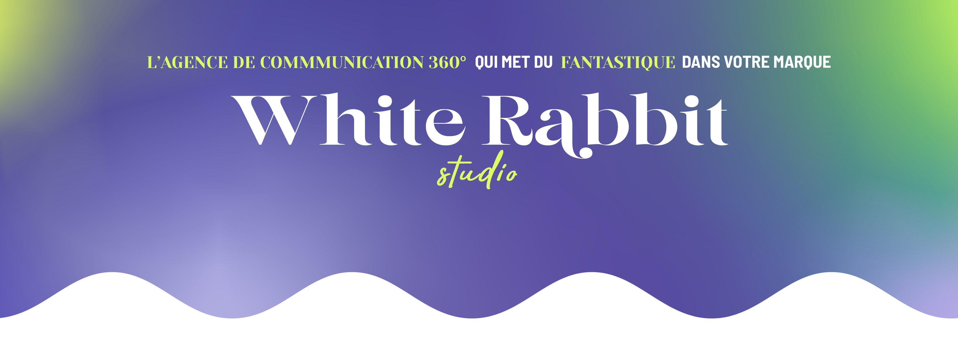 White Rabbit Studio