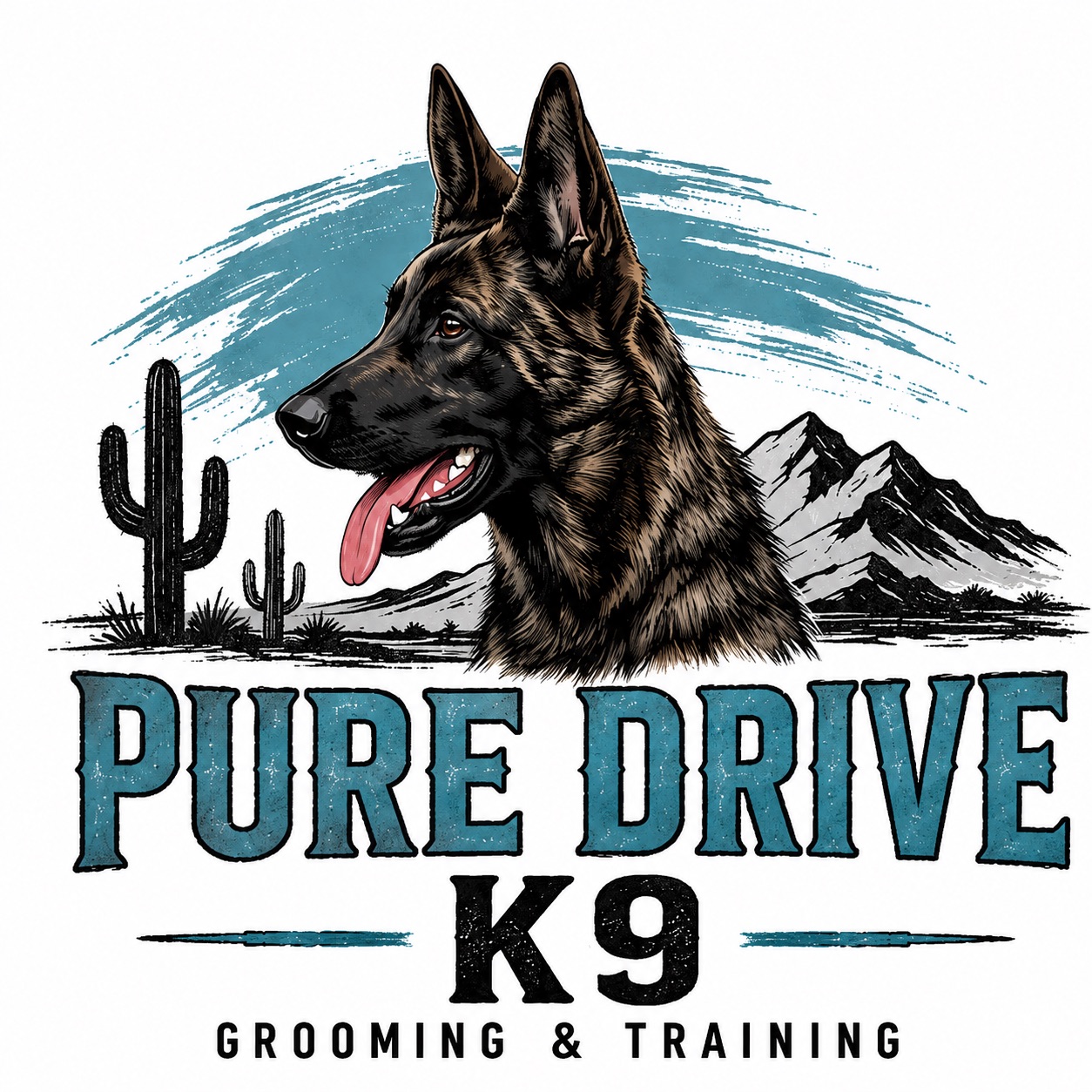 🐾 Bruno Update! 🐾 Bruno is making great progress during his board ...