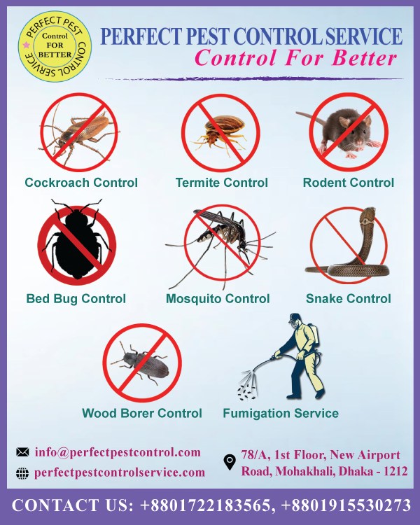 Perfect Pest Control Services