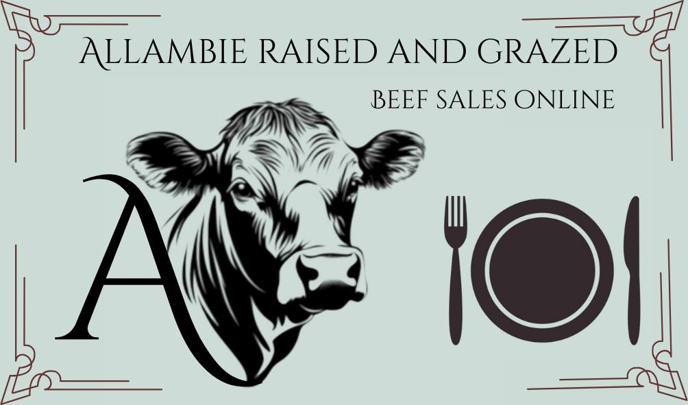 Allambie - 🚨 Cattle prices are climbing fast — here’s what that means ...