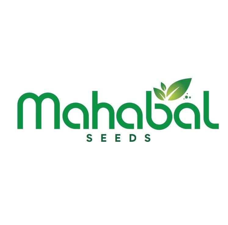 Mahabal Seeds | Rania