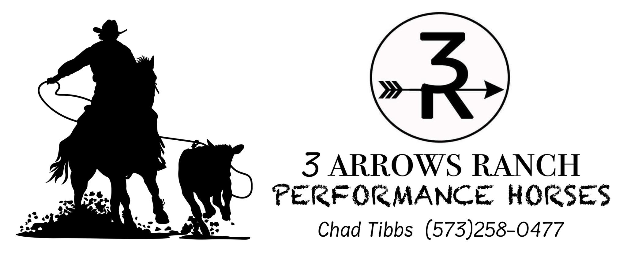 3 Arrows Ranch Performance Horses