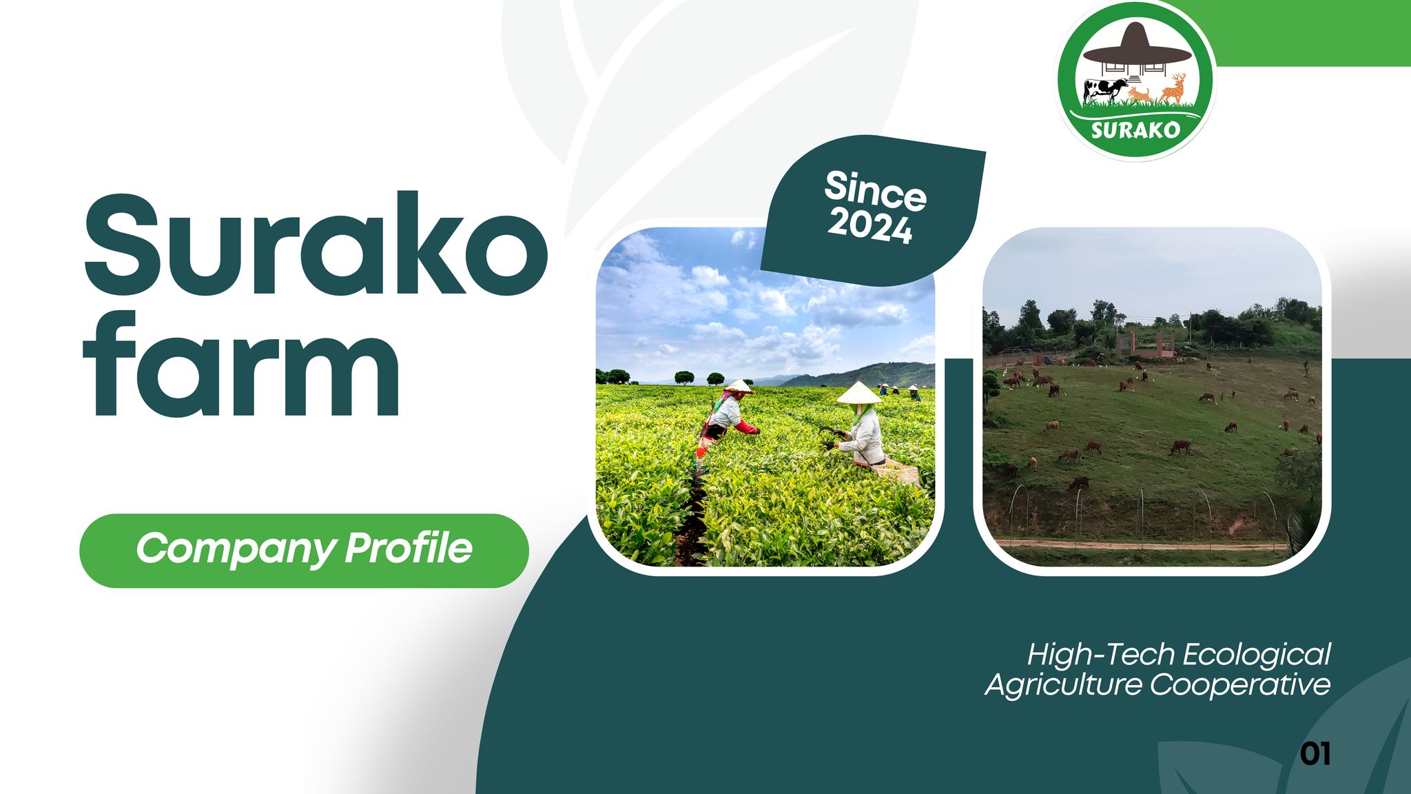 Surako Farm | Ba Ria