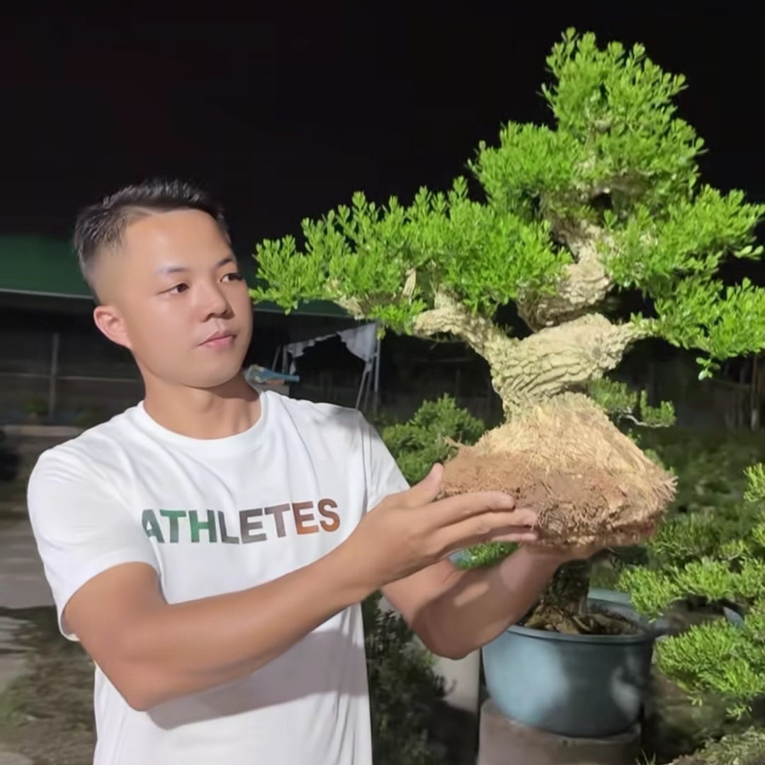 陈洁生