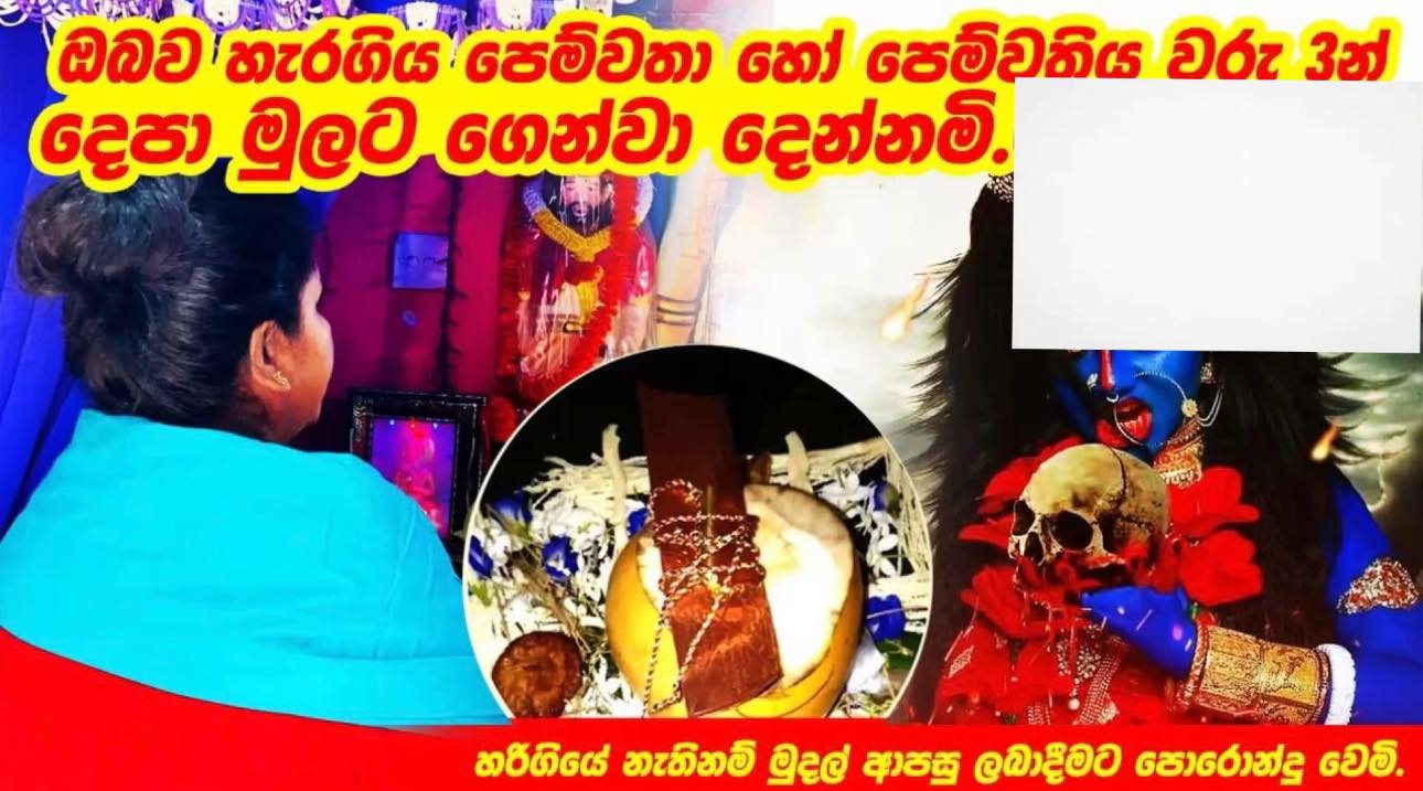 හෙළ විස්කම් අරණ - මිනිස් ජීවිත හා වගාවන් වන අලීන්ගෙන් ආරක්ෂා කරගැනීම ...