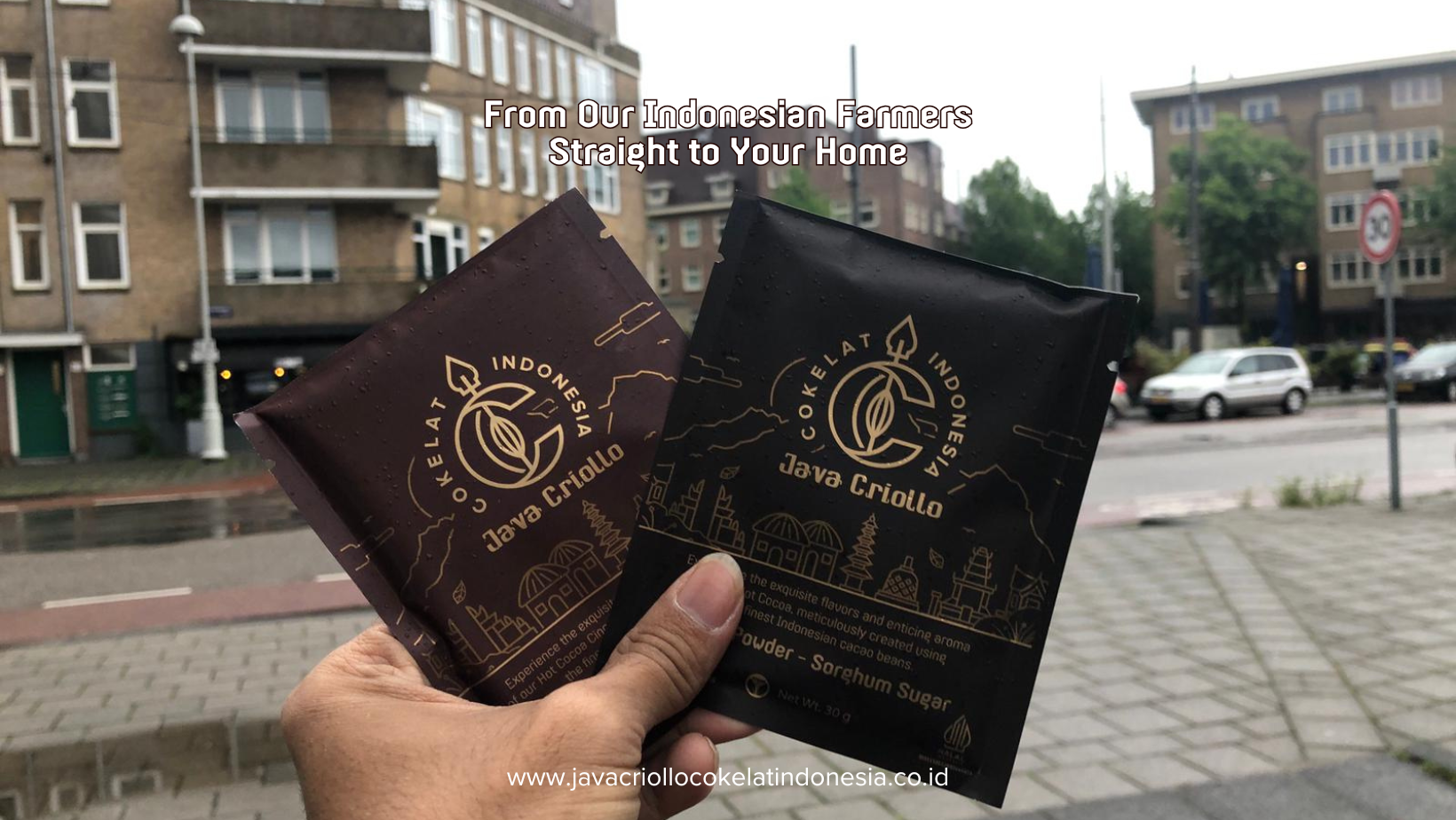 Java Criollo Cokelat Indonesia | Tangerang