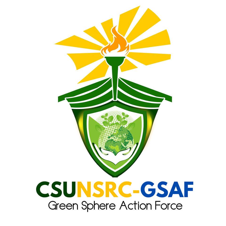 CSU - NSRC Green Sphere Action Force