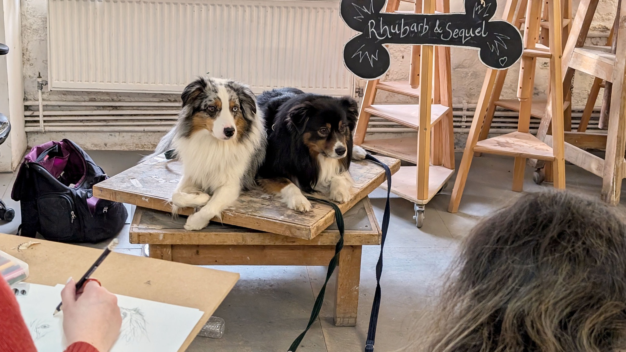 Dog Life Drawing | Bristol