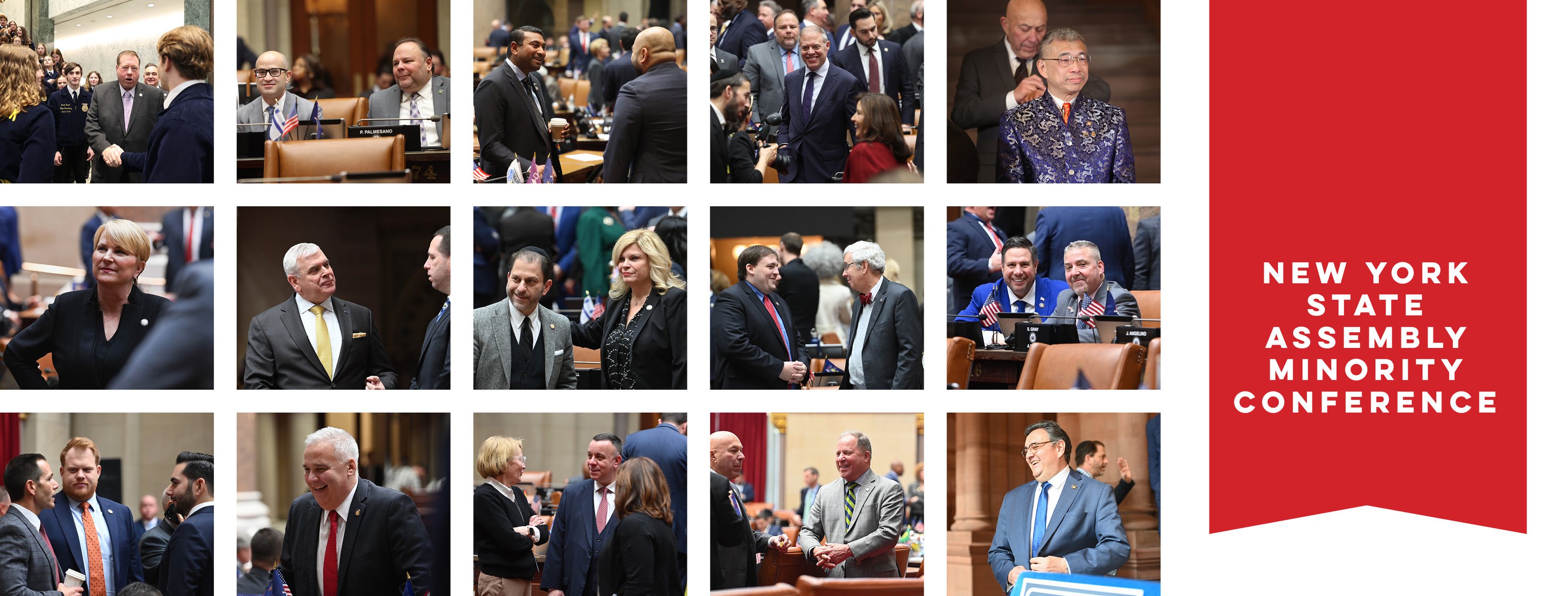 New York State Assembly Minority