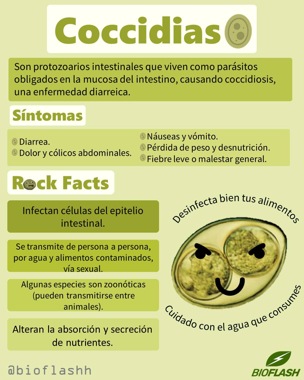 BioFlash - 🦠 Los coccidios intestinales son protozoarios parásitos que ...