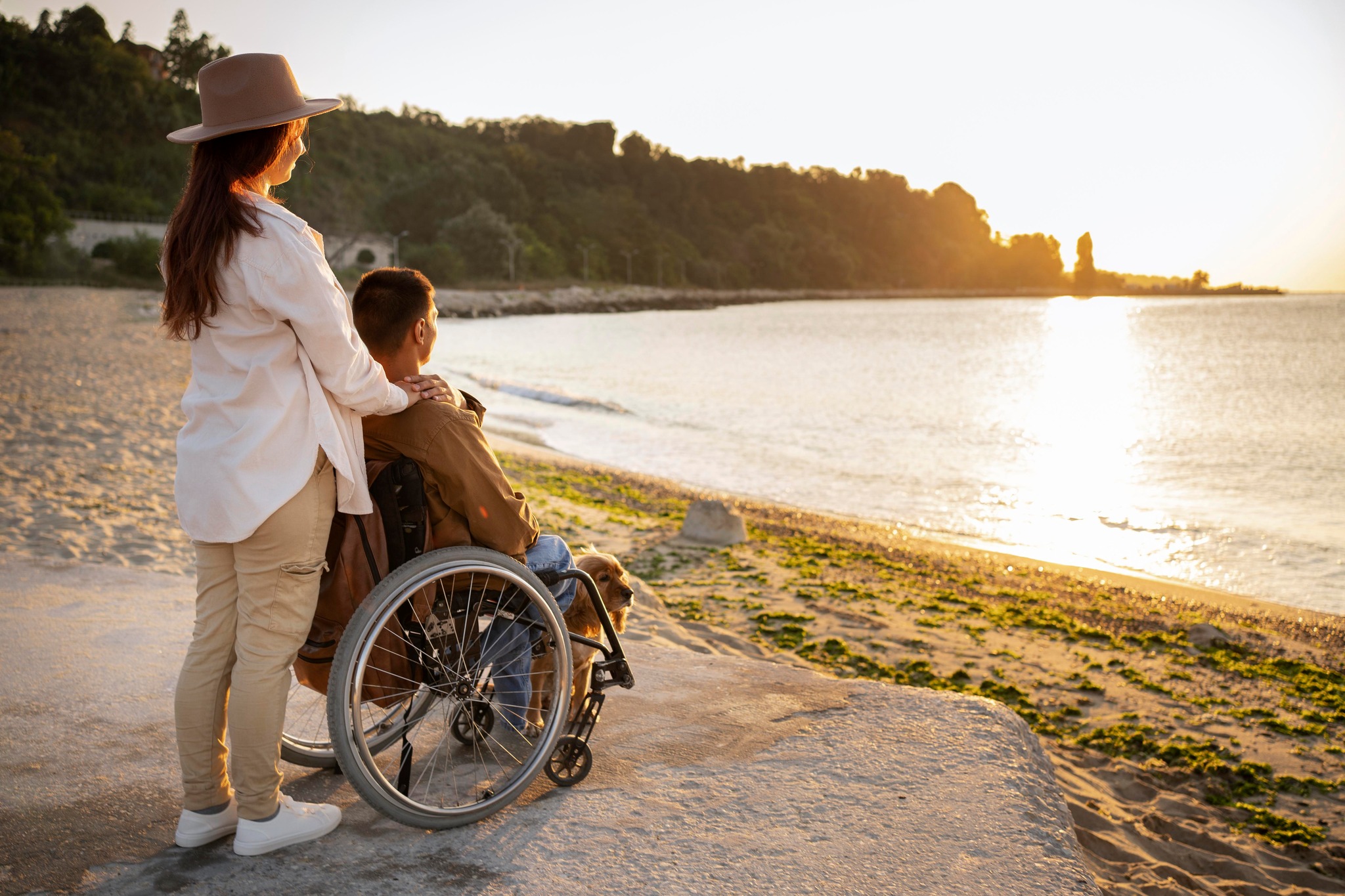 Disability Services and Employment Queensland