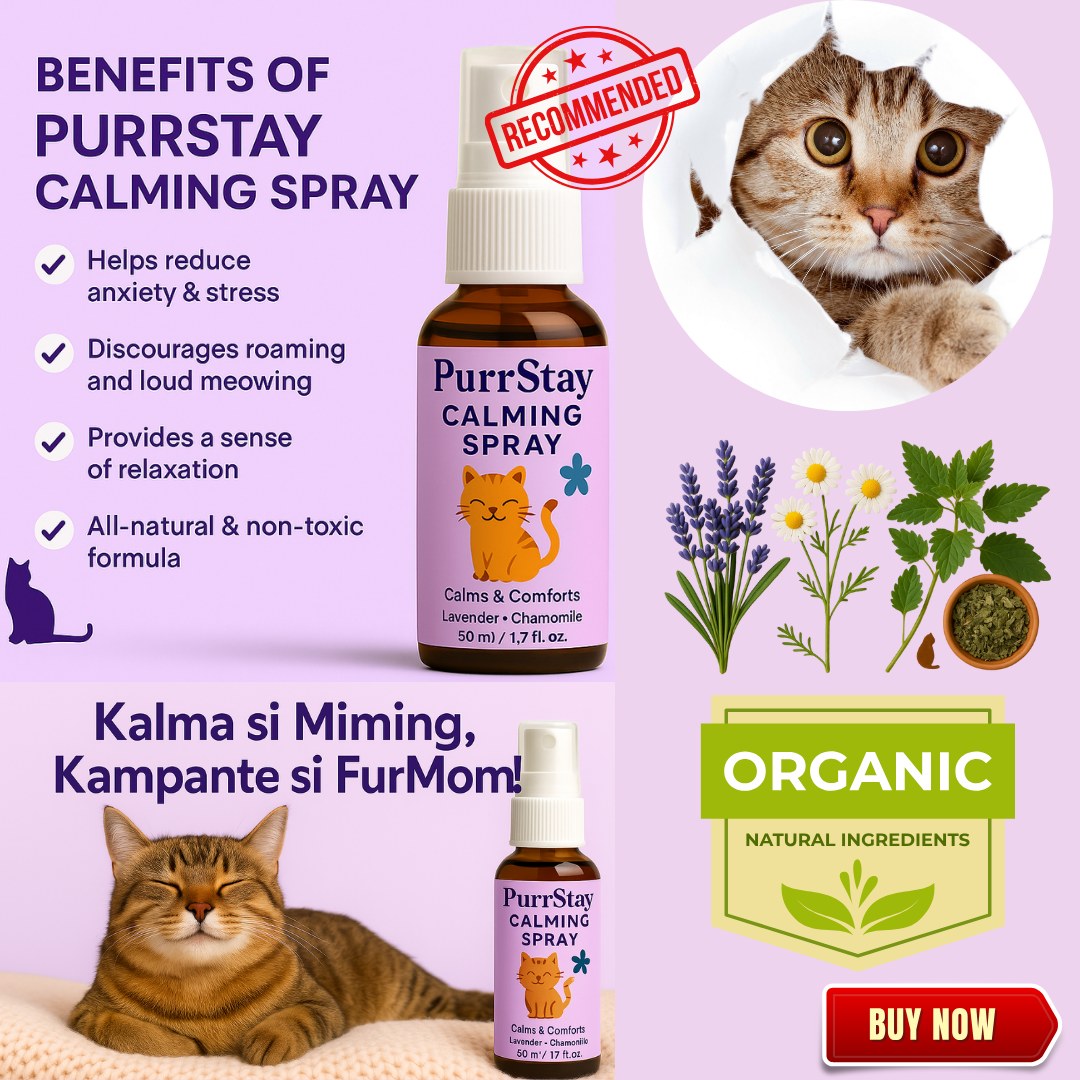 A closer look at Natural Anxiety Relief For Cats Online