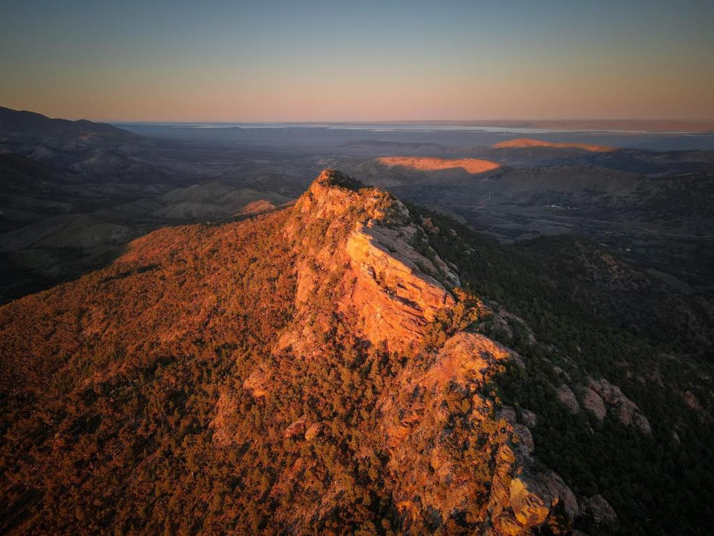 Birdsong Gardens Accommodation Quorn Flinders Ranges | Quorn SA