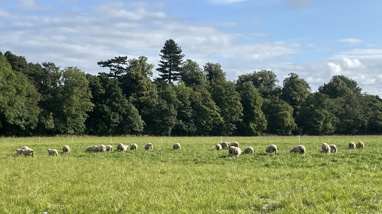 J R Ranch | Durham