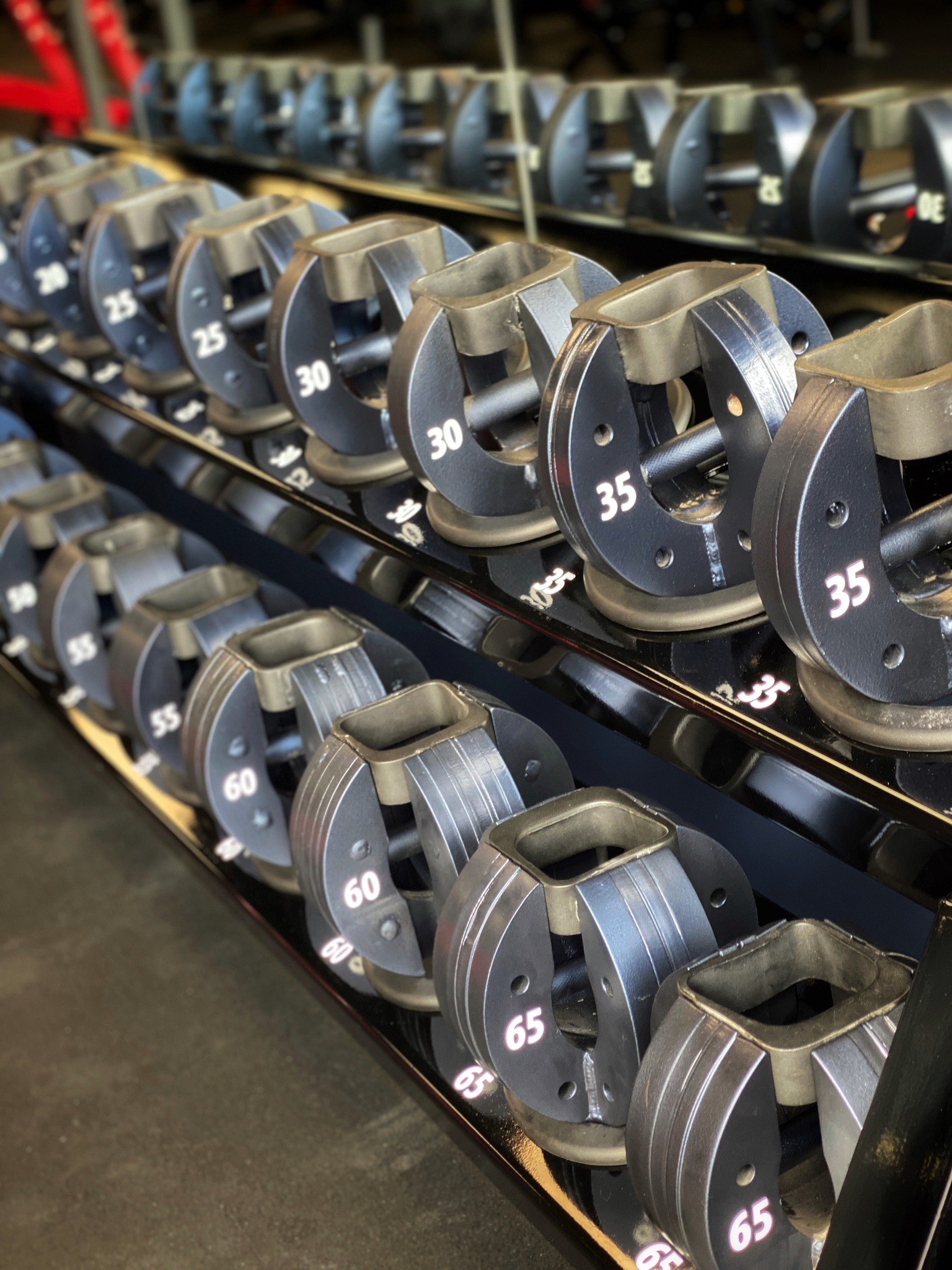 Mind & Muscle GYM | Signal Mountain TN