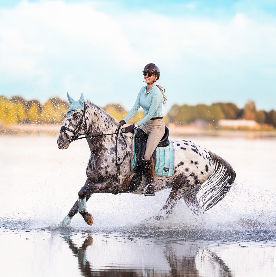 Buckskin goes bucking🤣 Oops this was not my greatest idea🤣 First ride ...