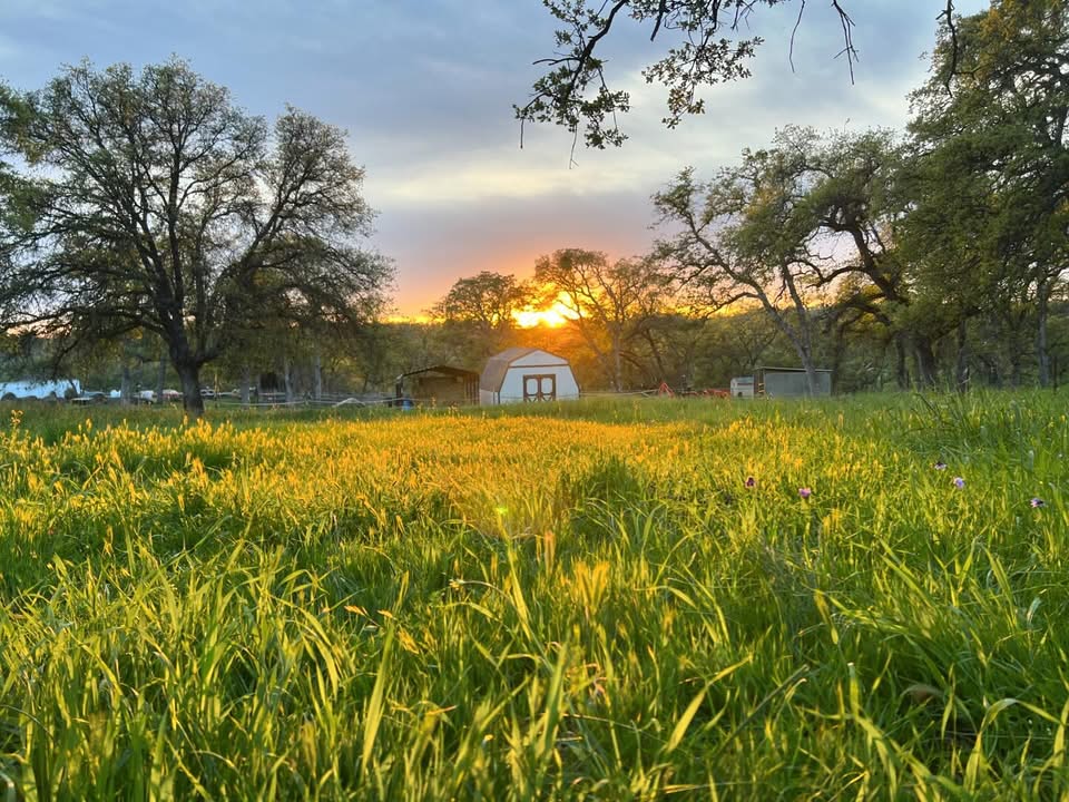 Anderson Ranch | Smartsville CA