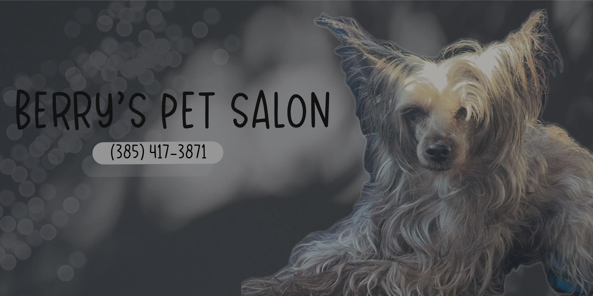 Gallery Detail: Berrys Pet Salon