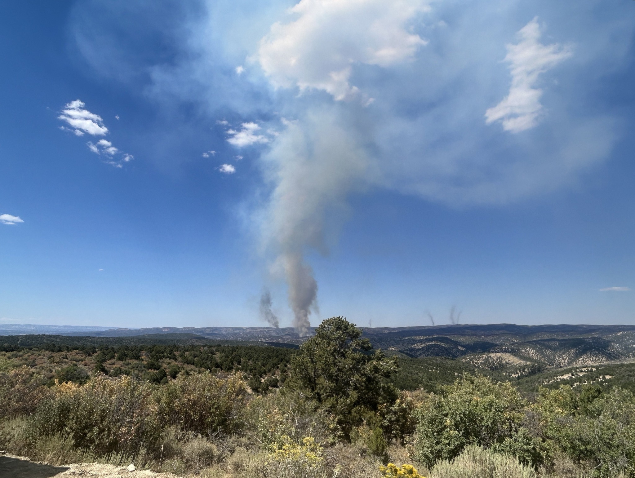 Elk - Multiple smoke columns are visible on the Lee Fire this afternoon ...