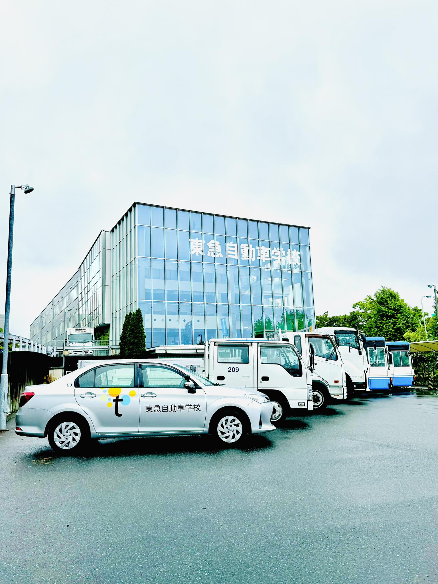 東急 自動車 学校