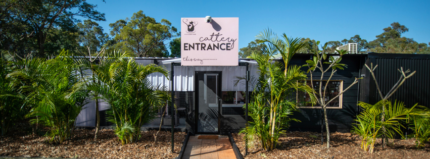A Cats Holiday Home | Perth WA