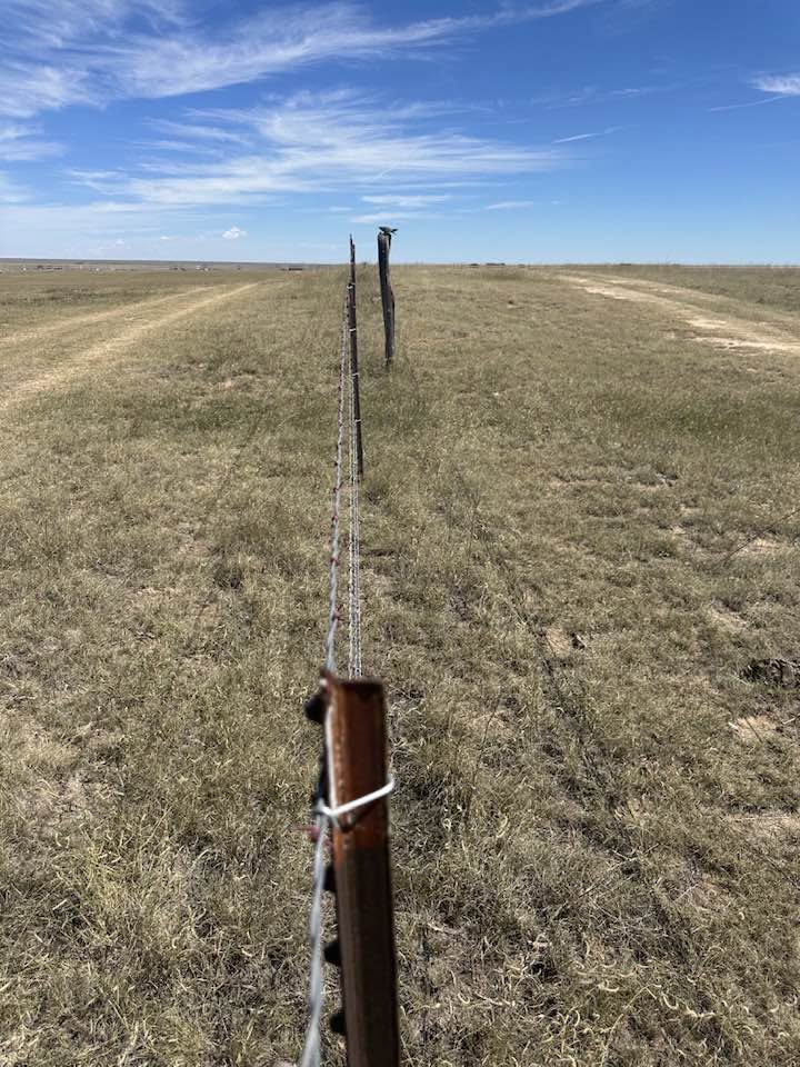 Interesting read! - The Fence Line Files - Yoder, Colorado | Facebook