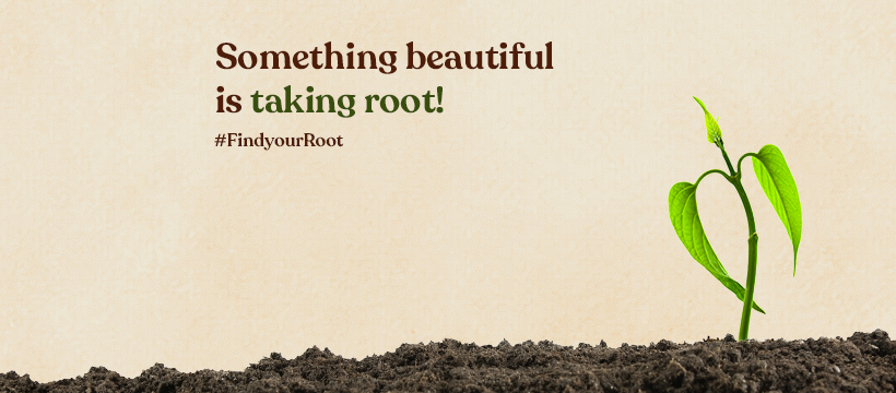 Roseate Roots | Ahmedabad