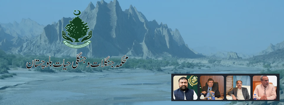 Balochistan Forests & Wildlife Department 