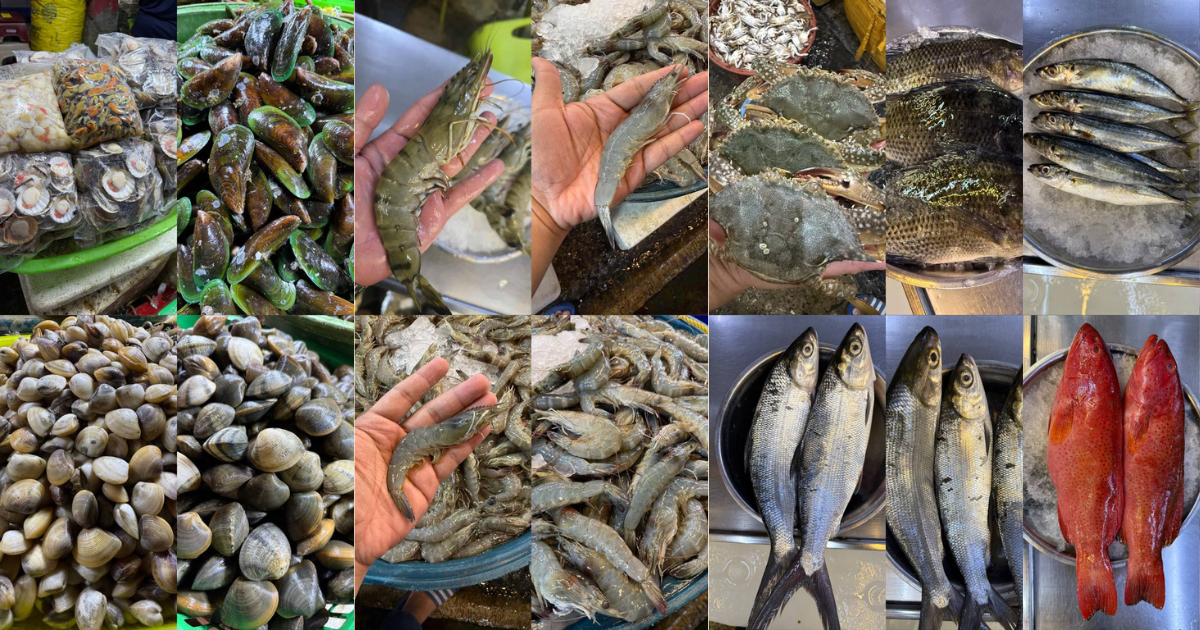 Fishy Frans Fresh Fish... - Fishy Frans Fresh Fish & Seafood