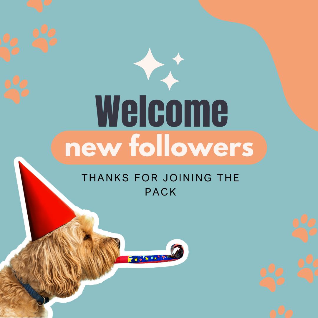 Pawkies - Welcome to our NEW Facebook home! Hi... | Facebook