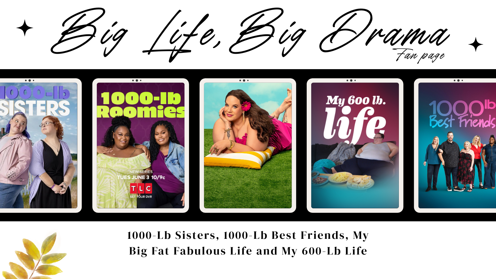 Big Life, Big Drama | Moorhead MN