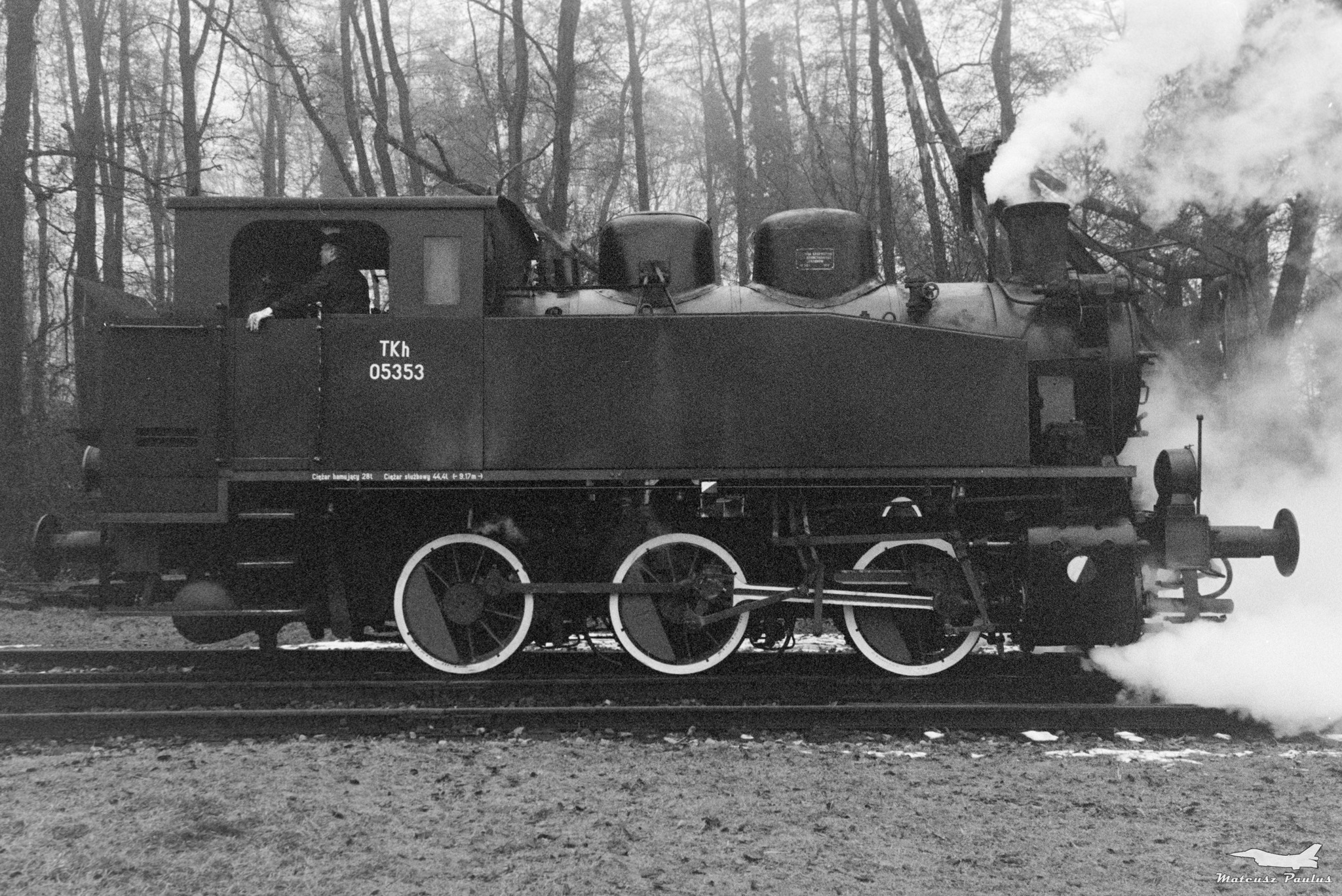 Steam locomotive TKh 05353 with special train from Wolsztyn to