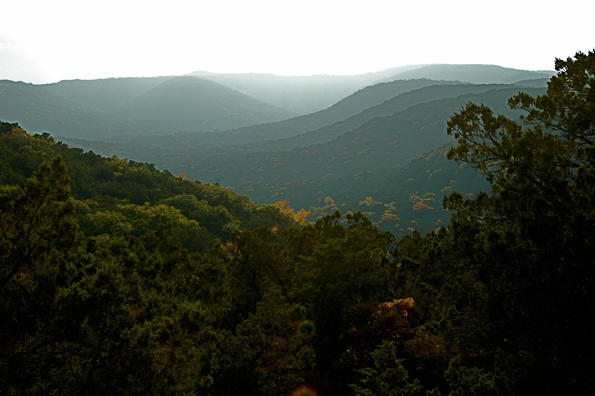 Albert & Bessie Kronkosky State Natural Area | Pipe Creek TX