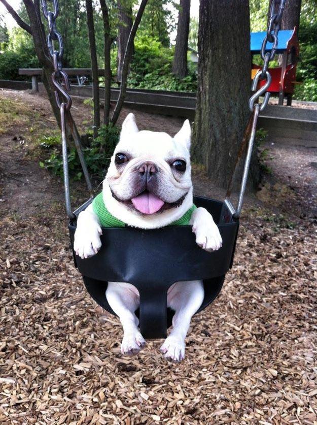 Pibblepan