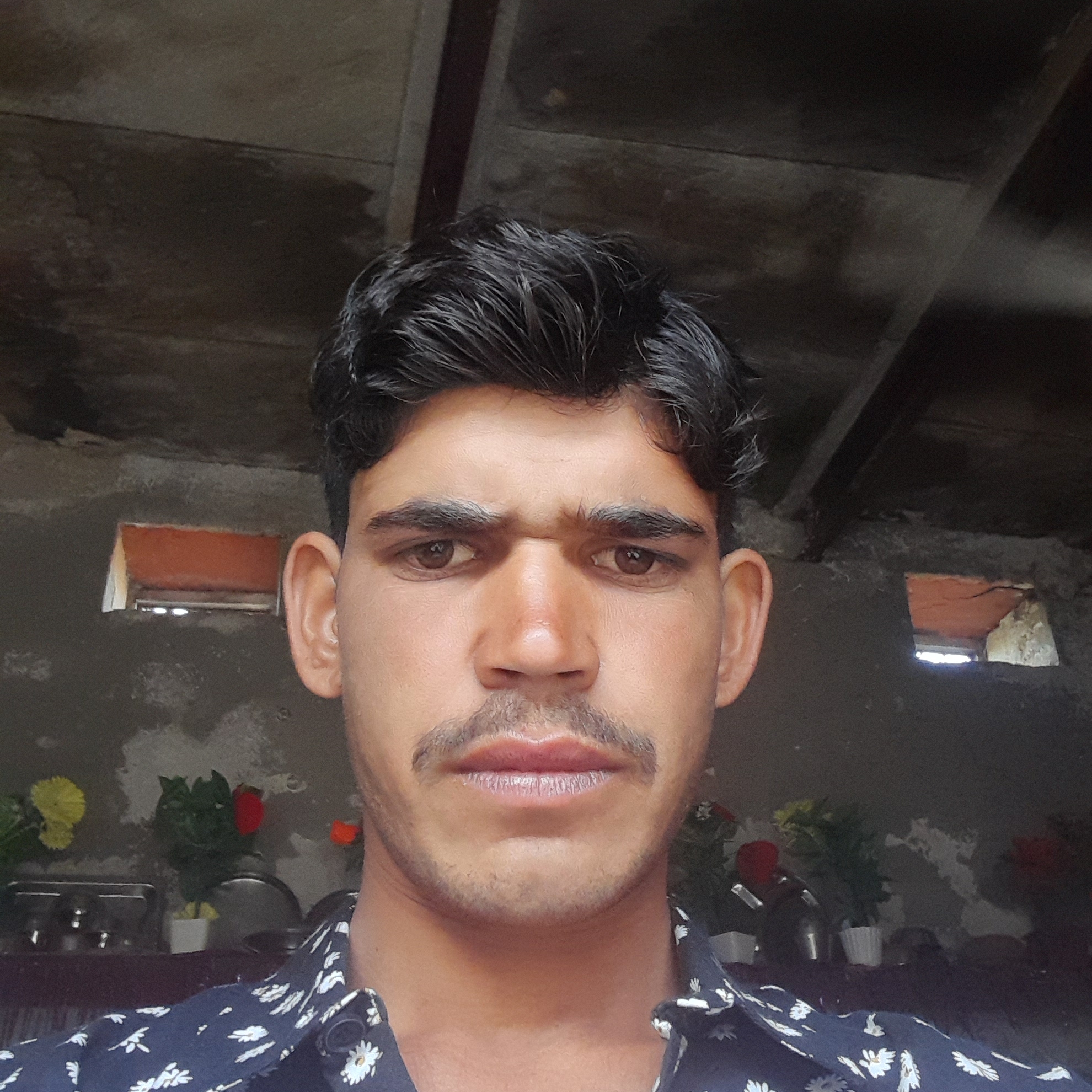 Aspak Aspak