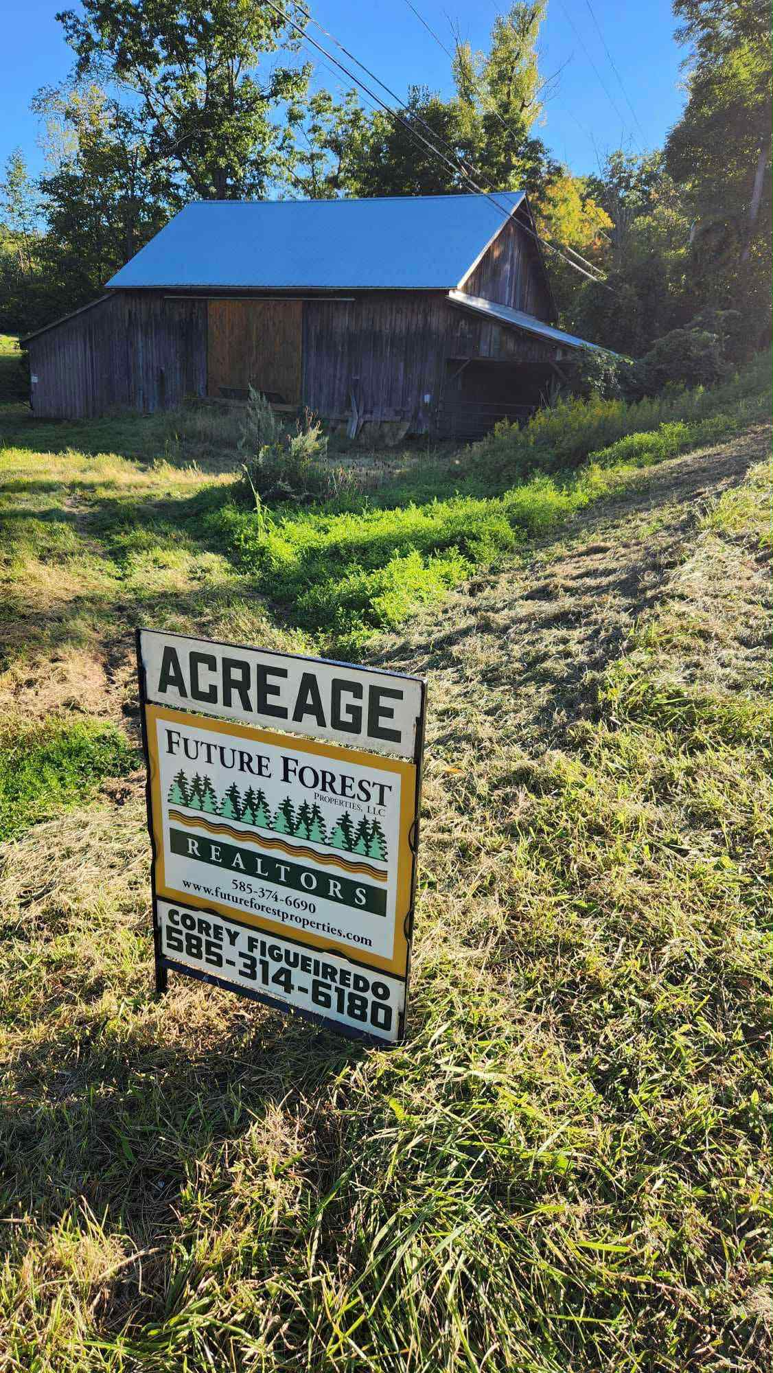 Future Forest Properties